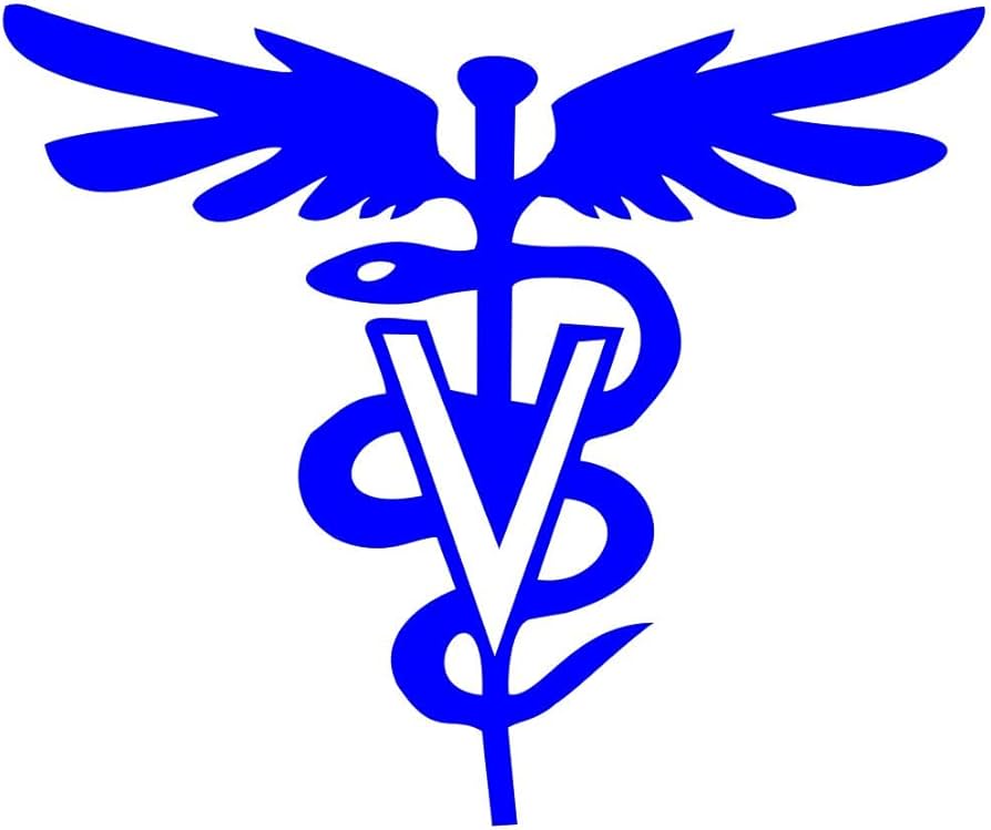 51cHzw3CHJL._AC_UF894,1000_QL80_